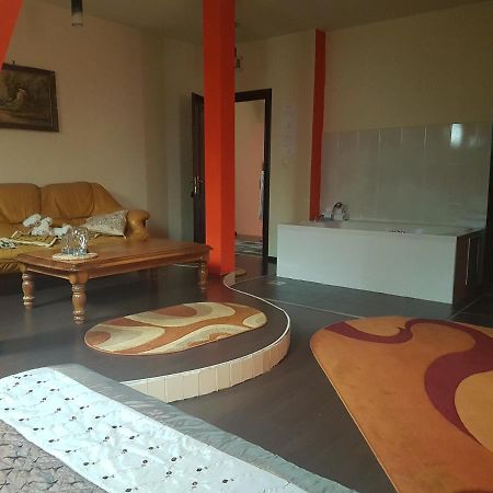 Bed and Breakfast Casa David à Rădăuţi Extérieur photo
