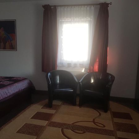 Bed and Breakfast Casa David à Rădăuţi Extérieur photo