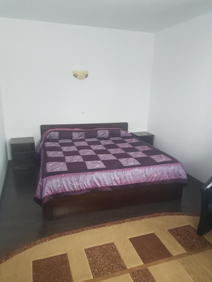 Bed and Breakfast Casa David à Rădăuţi Extérieur photo