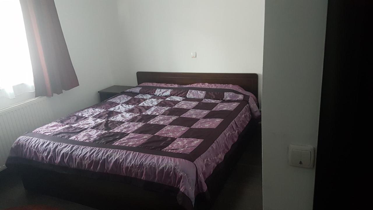 Bed and Breakfast Casa David à Rădăuţi Extérieur photo