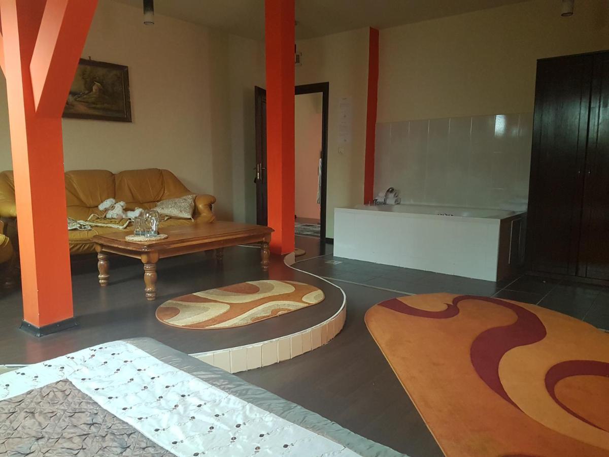 Bed and Breakfast Casa David à Rădăuţi Extérieur photo