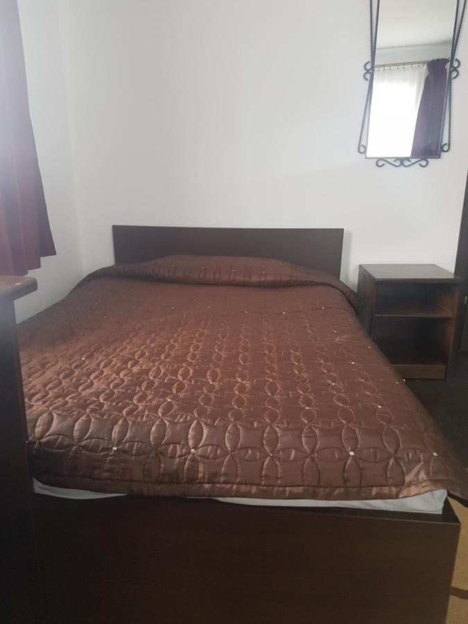 Bed and Breakfast Casa David à Rădăuţi Extérieur photo