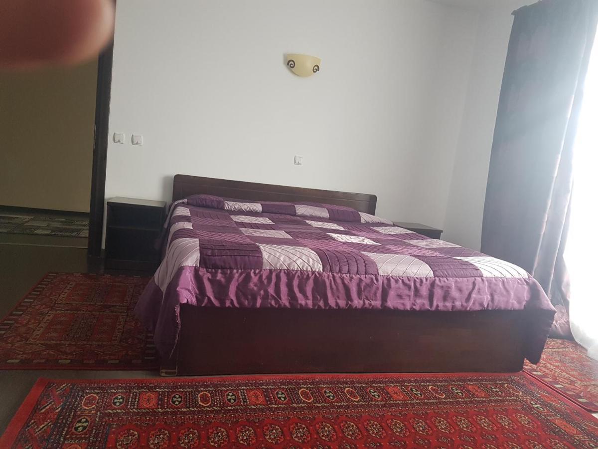 Bed and Breakfast Casa David à Rădăuţi Extérieur photo