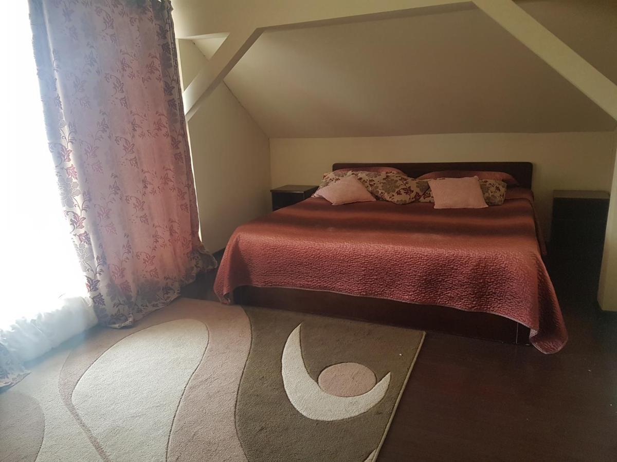 Bed and Breakfast Casa David à Rădăuţi Extérieur photo