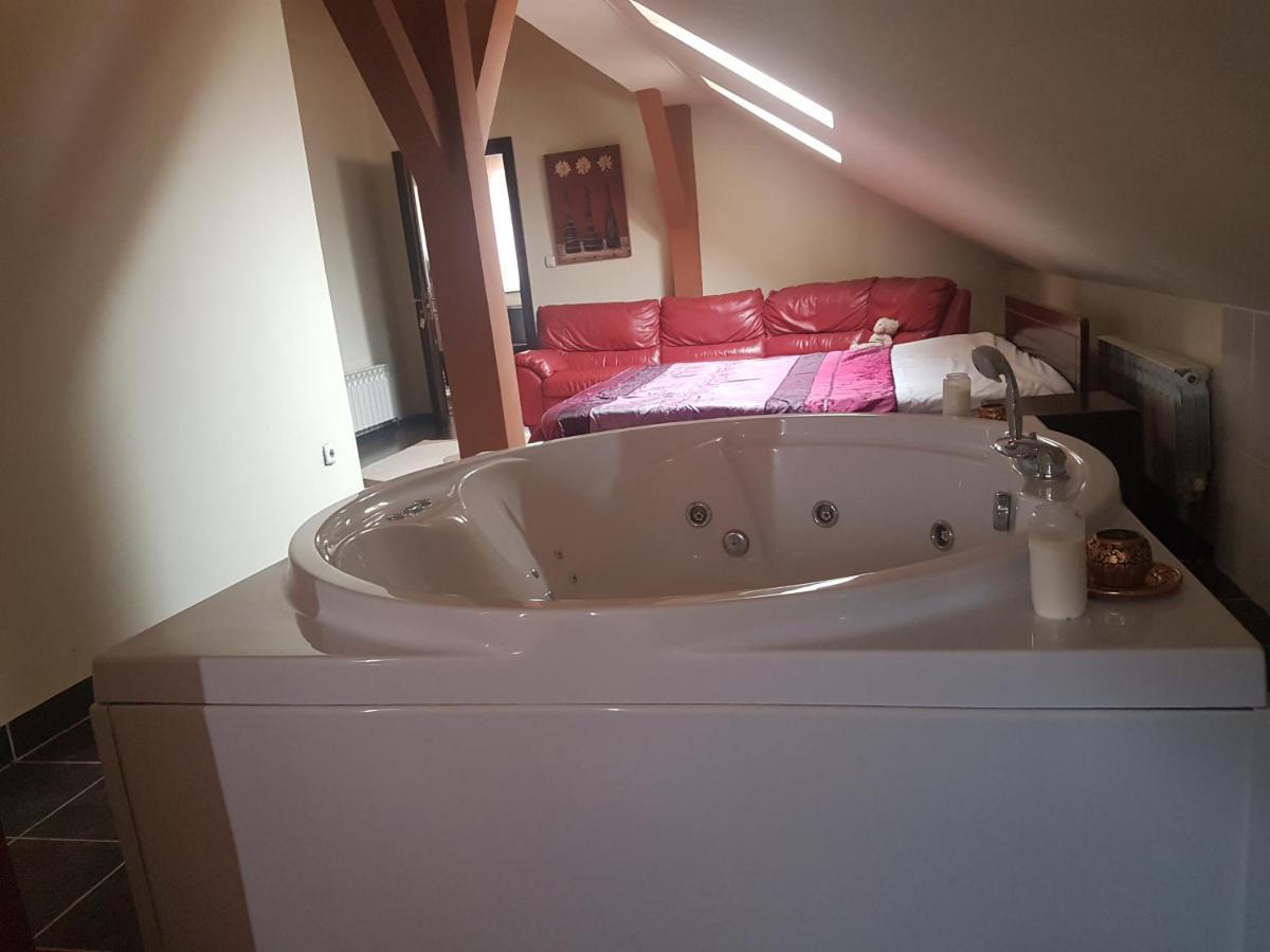 Bed and Breakfast Casa David à Rădăuţi Extérieur photo