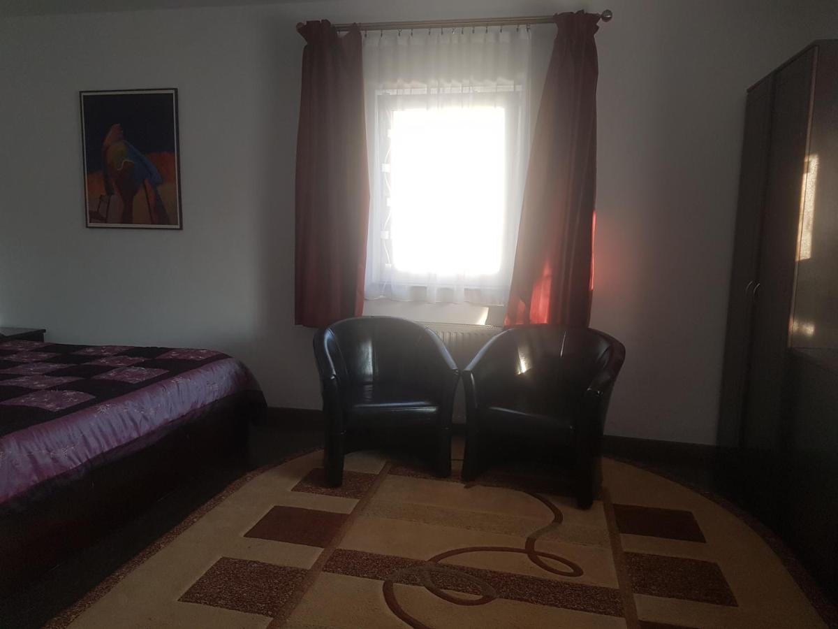 Bed and Breakfast Casa David à Rădăuţi Extérieur photo